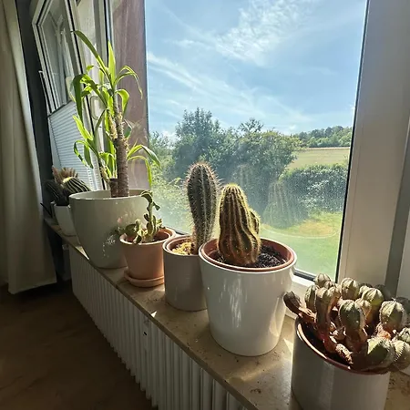 Akram Vi - Naturnah Mit Ausblick Apartment